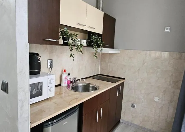 за гости кедър Saparewa Banja