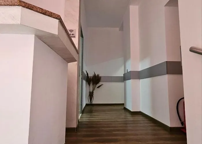 за гости кедър Saparewa Banja